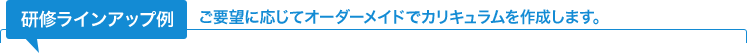 研修ラインアップ例－ご要望に応じてオーダーメイドでカリキュラムを作成します。